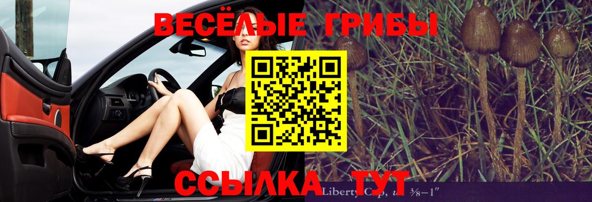 Галлюциногенные грибы GOLDEN TEACHER  закладка  Верхний Уфалей  Вход с VPN 