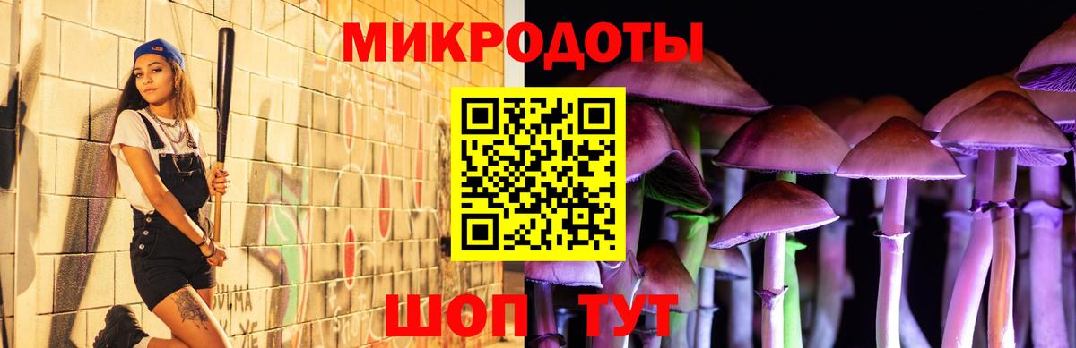 Псилоцибиновые грибы Psilocybe Верхний Уфалей